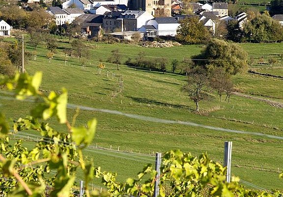 Palzem