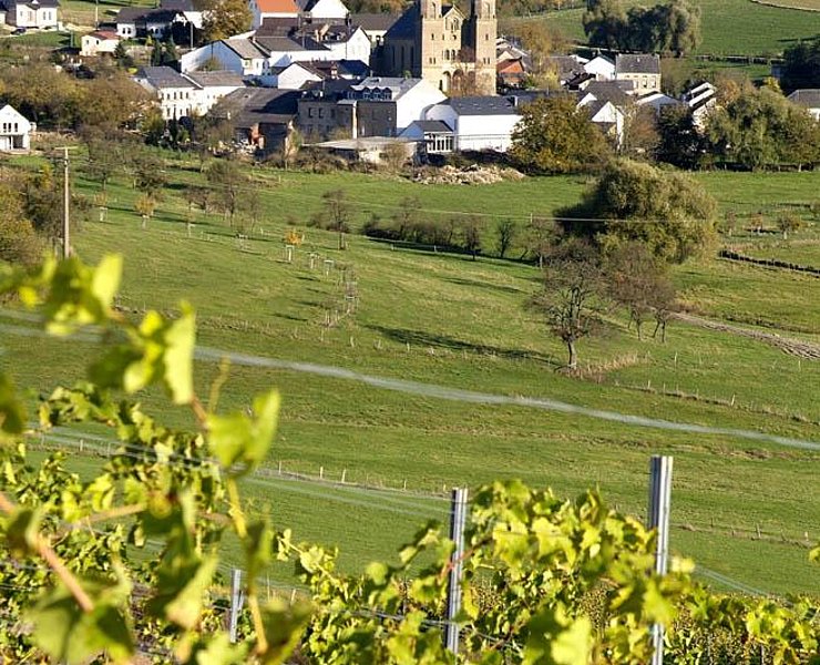 Palzem