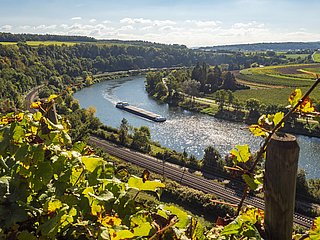 Blick vom Pavillon bei Wehr über die Mosel