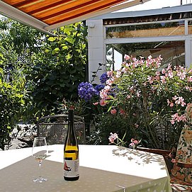 Ferienweingut Wilems-Willems Konz-Oberemmel 3