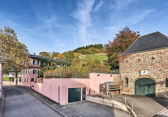 Weingut & Landhaus Reverchon (02)
