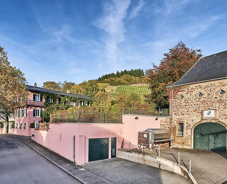 Weingut & Landhaus Reverchon (02)