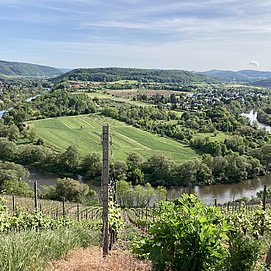 Wiltinger Saarbogen