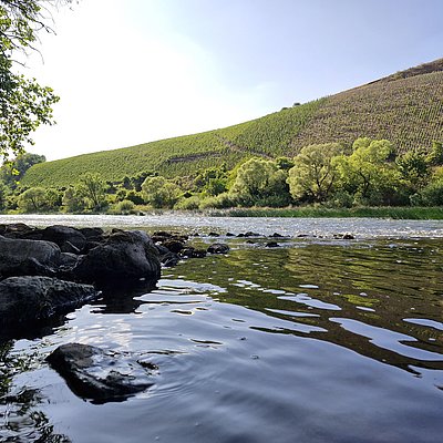 Foto: Saar bei Kanzem