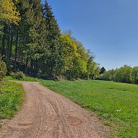 Radweg zwischen Saarburg und Trassem (2)