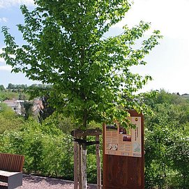 Historischer Rundweg - Station 1 (4)