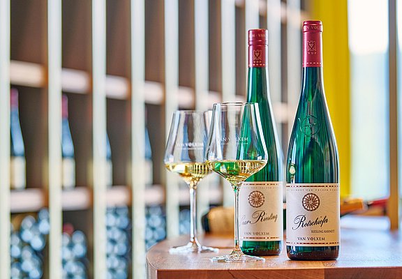 Weinmanufaktur Van Volxem (02)