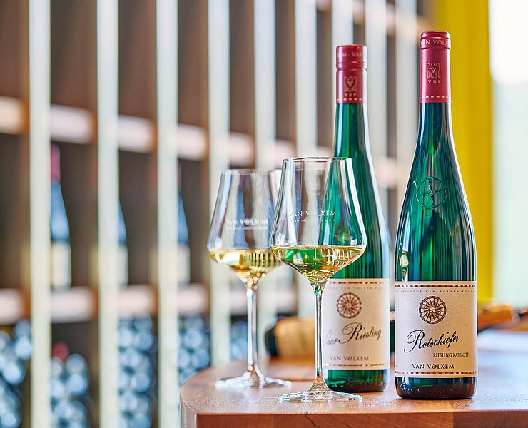 Weinmanufaktur Van Volxem (02)