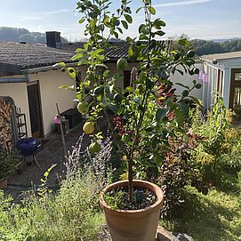 Mediterranes Flair
