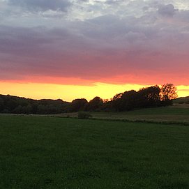 IMG_3203