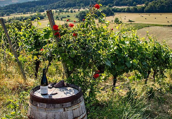 Moselsteig Seitensprung Konzer Höhenrunde (5)