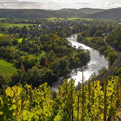 Foto: Wiltingen (2)