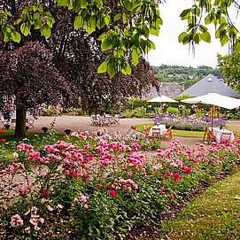 Weingut & Landhaus Reverchon (3)
