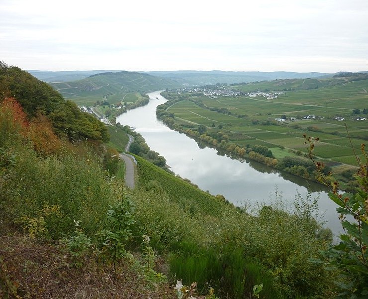 Blick flussabwärts aus den Kestener Weinbergen Richtung Brauneberg. Links am Hang einige Häuser von Kesten