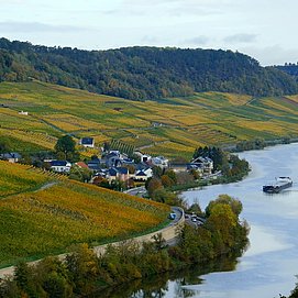 Obermosel im Herbst
