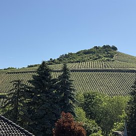 Ferienhaus Licht-Blick 9 (04)