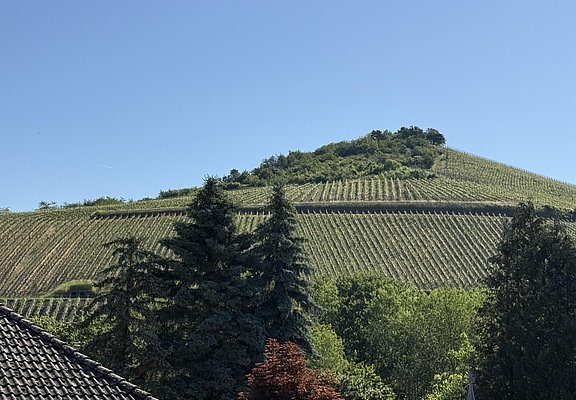 Ferienhaus Licht-Blick 9 (04)