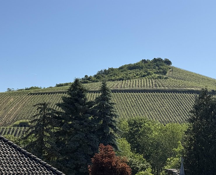 Ferienhaus Licht-Blick 9 (04)