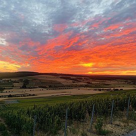 Weingut Alois Kirchen Konz-Oberemmel (06)