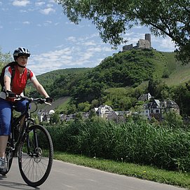 Der Mosel-Radweg bei Bernkastel-Kues