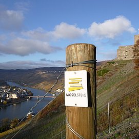 Blick auf Burg Landshut und das Moseltal mit Bernkastel-Kues