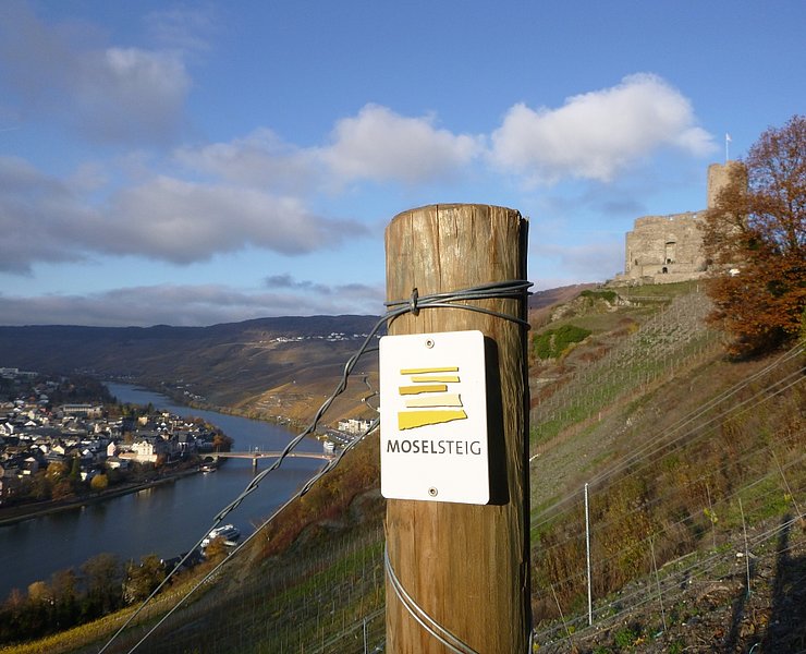 Blick auf Burg Landshut und das Moseltal mit Bernkastel-Kues