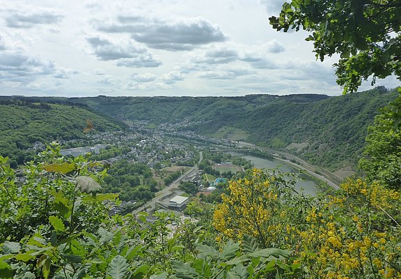 Blick vom Rastplatz am Schwedenkreuz ins Moseltal Richtung Cochem