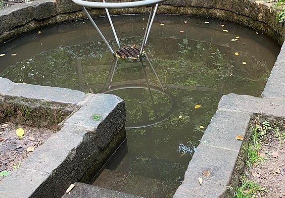 Salzbrunnen
