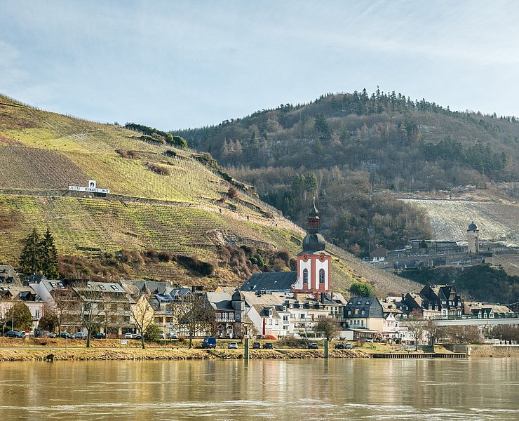 Moselblick auf Zell