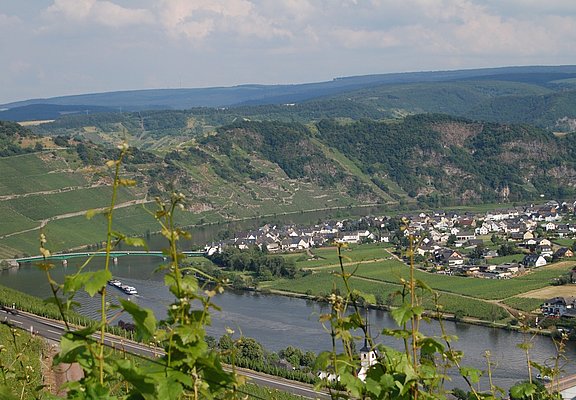 Moselschleife bei Piesport