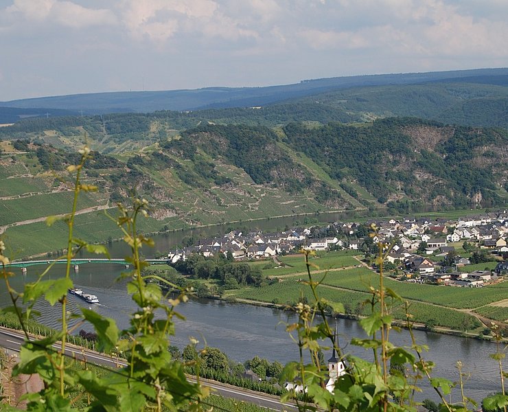 Moselschleife bei Piesport