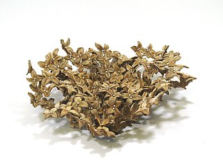 Ausstellung FLORA COGNITA