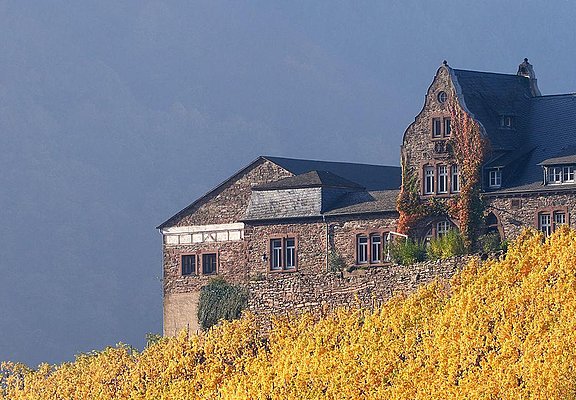 Weingut Würtzberg