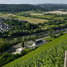 Gästehaus-Weingut Cantzheim (8)