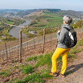 Saar-Riesling-Steig