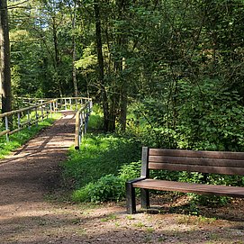 Spazierweg Warsberg (3)