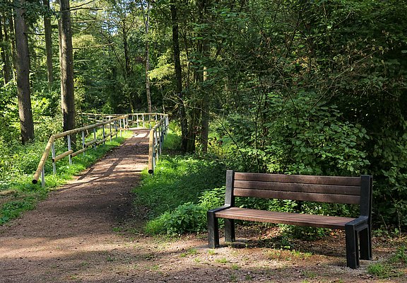 Spazierweg Warsberg (3)