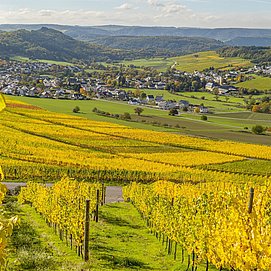 Blick auf Oberemmel (1)