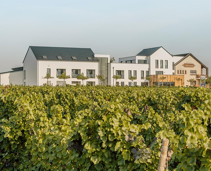 SAUERWEINS Weingut(2)