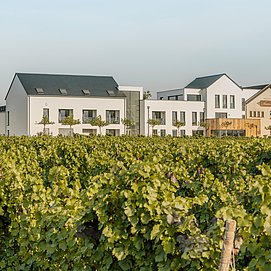 SAUERWEINS Weingut(2)