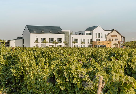 SAUERWEINS Weingut(2)