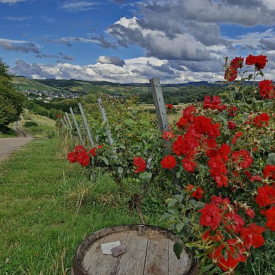Foto: Konzer Höhenrunde (2)
