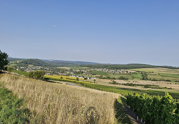 Blick auf Oberemmel