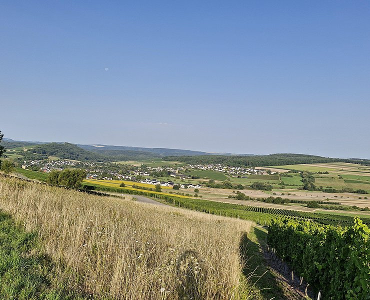 Blick auf Oberemmel