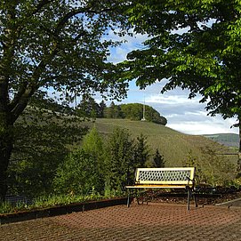 Ferienwohnung Alter Weinberg Saarburg (19)