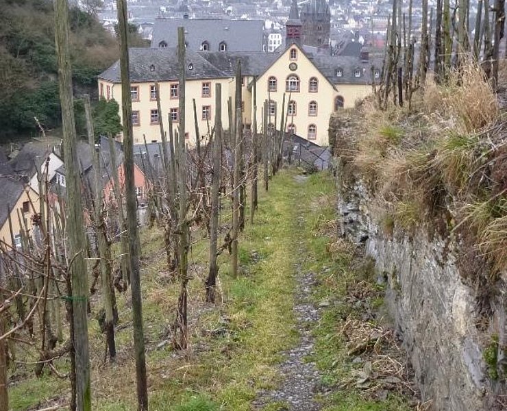 Weinbergspfad bei Bernkastel