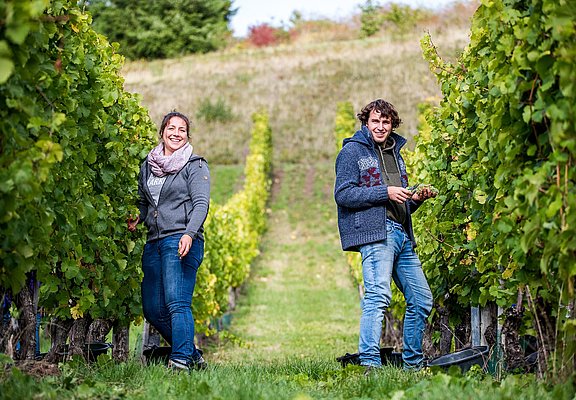 Weingut Stefan Müller (3)