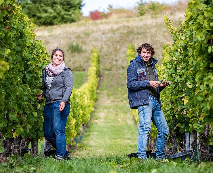 Weingut Stefan Müller (3)