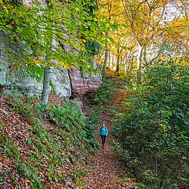Felsenpfad (2)