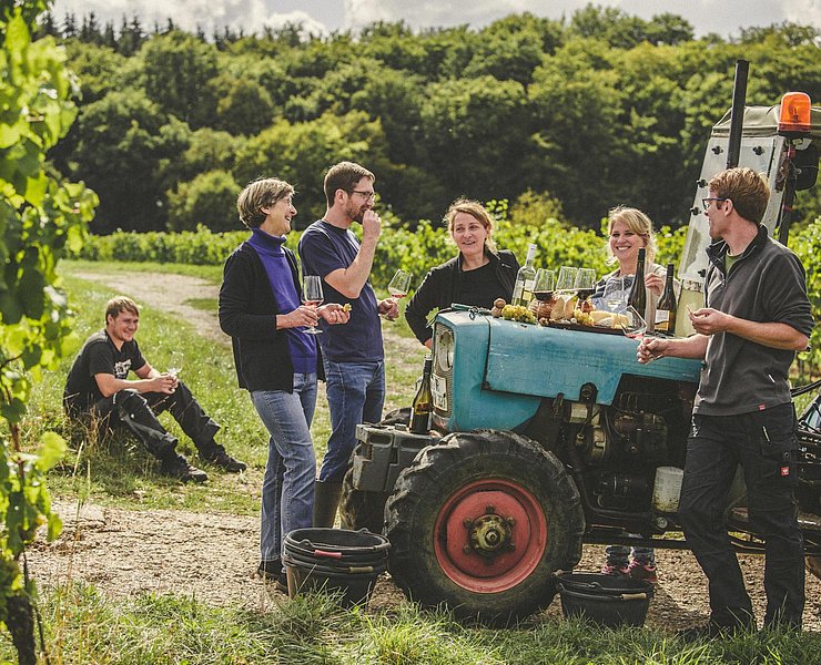 SAUERWEINS Weingut (3)